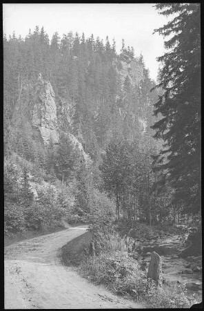 Schwarzwassertal. Katzenstein