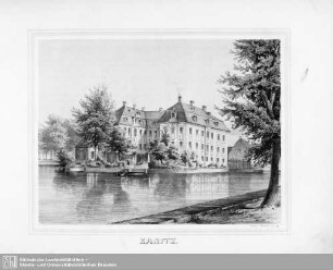 Canitz