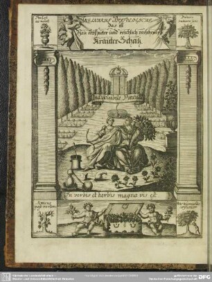 Thesaurus Phytologicus. das ist Neu eröffneter und reichlich versehener KräuterSchatz