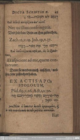 Ex Actis Apostolorum