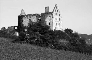 Burkheim: Schwendi-Schlossruine