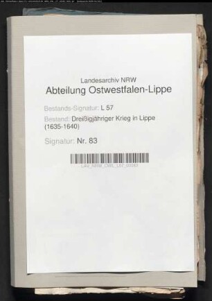 Schwedische Garnision zu Minden