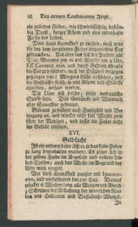 XVI. Gelbsucht