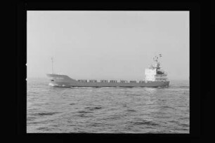 Holger (1979)