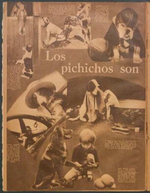 Los pichichos son aquí hombres hechos y derechos [Fotografías]