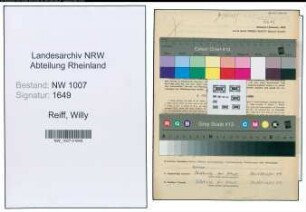 Entnazifizierung Willy Reiff , geb. 16.08.1901 (Konstrukteur)