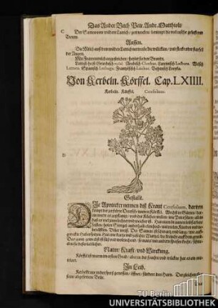 Cap. LXIIII. Von Kerbeln, Koerffel.