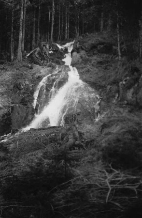 Zufluss des Kleinen Arbersees : Waldbach als Zufluss des Kleinen Arbersees