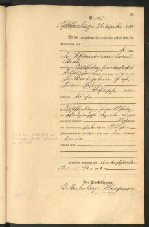 Standesamtsbuch der Stadt Aschaffenburg: Geburten 365/1900 - 184/1901