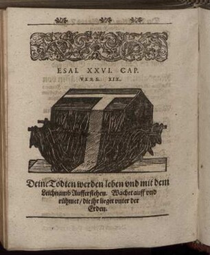 Esai. XXV. Cap. Vers. XIX.
