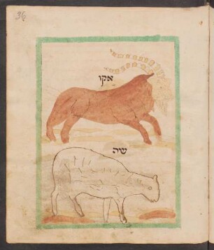 Illustration: f. 36r-36v