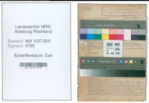 Entnazifizierung Carl Schleiffenbaum , geb. 31.03.1896 (Ingenieur)