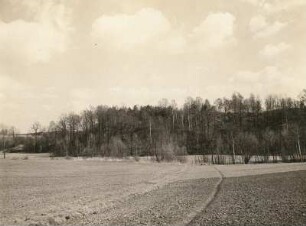 Oberlausitz. Burgwall Kopschien bei Krostwitz (Crostwitz). Gesamtansicht von Nordwesten