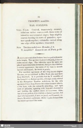Trochus monilifer. Tab. CCCL XVII