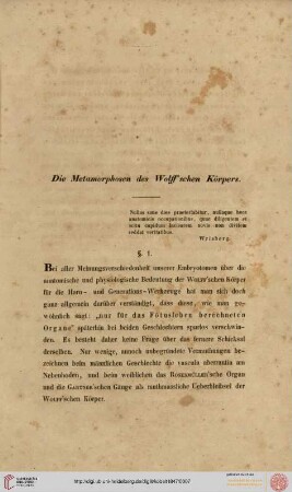 Die Metamorphosen des Wolff'schen Körpers