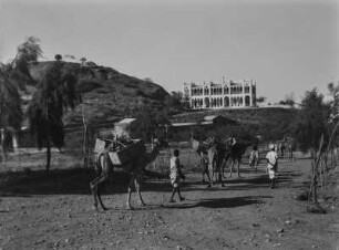 Karawane : Kamelkarawane auf dem Weg in die Stadt Agordat. Bei dem abgebildeten Bau handelt es sich um das Gebäude der Stadtverwaltung ("Gouverneurspalais")