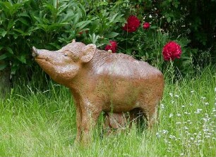 Wildschwein