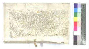 Verzicht der Grafen von Kirchberg auf ihre Lehenschaft über die von Jos Michel an Kloster Wiblingen verkaufte Hälfte der Mähder zu Unterkirchberg