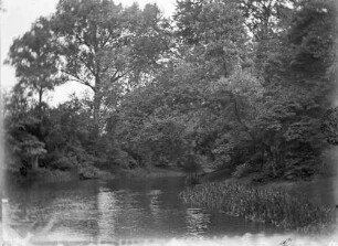 "Waldsee"