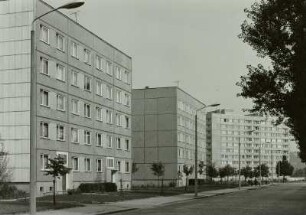 Enderstraße : Technikgeschichte | Agrar- und Lebensmitteltechnik | Nutz- und Haustierhaltung | Bienen, Seidenraupen | Deutschland etc.