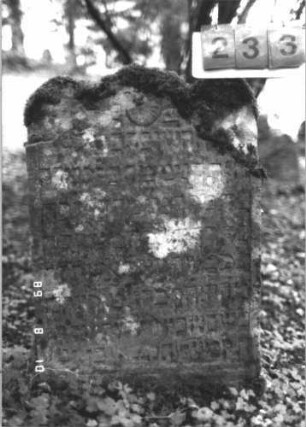 Grabstein 233 (Index: 99799959) Material: Sandstein Zustand: stark verwittert, teilw. Textverlust Maße HxBxT: 96x55x8 cm Beschreibung: Stele, dreibogiger Abschluß, Schriftfeld eingetieft Symbolik: Rosette: Grabstein 233