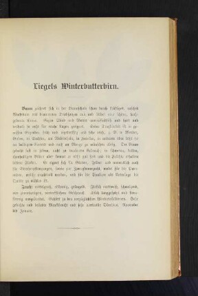 Liegels Winterbutterbirn.