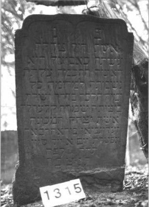 Grabstein 1315 (Index: 99900190) Material: Sandstein Zustand: unten verwittert, sonst gut erhalten Maße HxBxT: 103x61x7 cm Beschreibung: Stele mit flachem Schulterbogenabschluss, im Bogenfeld hängende Blüte Symbolik: Blüte: Grabstein 1315