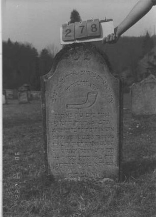 Grabstein 278 (Index: 100009279) Maße HxBxT: 90x54x10 cm Symbolik: Schofar Besonderheit: kulturhistorisch wertvoll / hist.-wiss. Gründe (Gemeindestellung): Grabstein 278