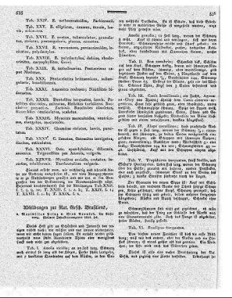 Abbildungen zur Naturgeschichte Brasiliens / von Maximilian Prinz von Wied-Neuwied. - 6. Lfg. - Weimar : Industriecomptoir, 1824