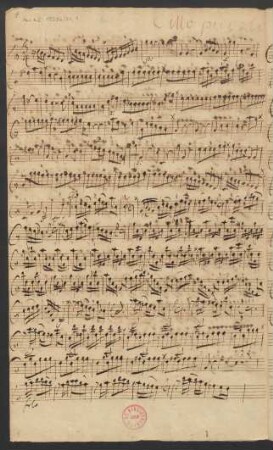 Cello piccolo