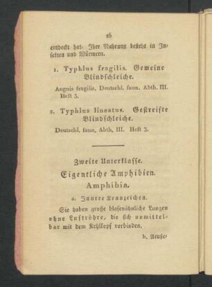 Zweite Unterklasse. Eigentliche Amphibien. Amphibien.