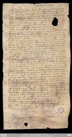 [Halle (Saale), Universitäts- und Landesbibliothek Sachsen-Anhalt, Morbio 5 (210)]