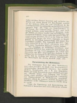 Entwickelung der Nebenniere.
