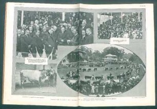 Exposición Nacional de Ganadería en la Sociedad Rural de Palermo