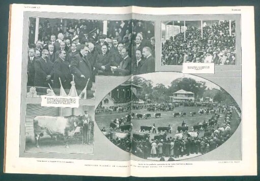 Exposición Nacional de Ganadería en la Sociedad Rural de Palermo
