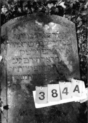 Grabstein 384 (Index: 99792088) Material: Sandstein Zustand: leicht verwittert, Stele liegend Maße HxBxT: 95x55x10 cm Beschreibung: Stele, Segmentbogenabschluß, Schriftfeld eingetieft: Grabstein 384A