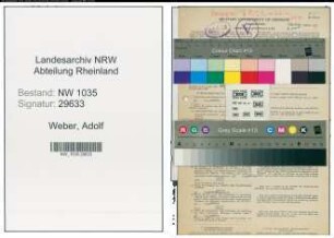 Entnazifizierung Adolf Weber , geb. 14.11.1904 (Ziegler)