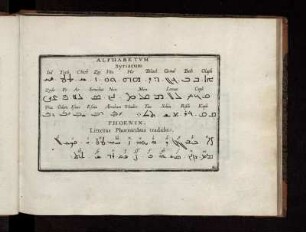 Alphabetvm Syriacum. - Phoenix. Litteras Phoenicibus tradidit