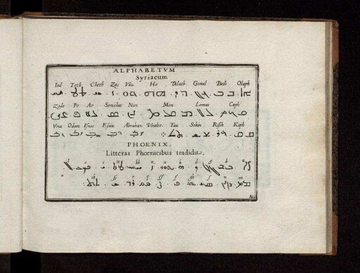 Alphabetvm Syriacum. - Phoenix. Litteras Phoenicibus tradidit