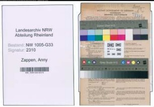 Entnazifizierung Anny Zappen , geb. 05.08.1896 (Lehrerin)