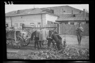 Odobești (=Rumänien): Zweispänner mit Leiterwagen beim Fressen neben einer unbefestigten Ortsstraße, im Hintergrund ein lang gestrecktes Gebäude ("Häuser")