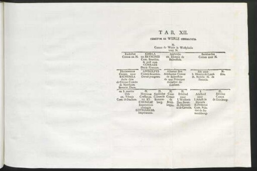 Tab. XII. Comitum De Werle Genealogia