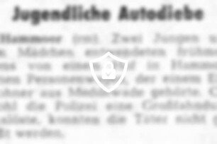 Jugendliche Autodiebe