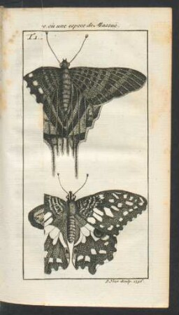 Tafel: Les Papillons de Jour.