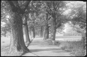 Waldenburg. Park Grünfeld
