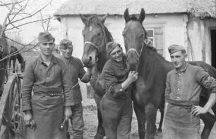 Zweiter Weltkrieg. Zur Einquartierung. Sowjetunion. Angehörige der deutschen Wehrmacht mit Reitpferden