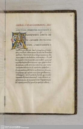 Fol. 75 ff. Paradoxa