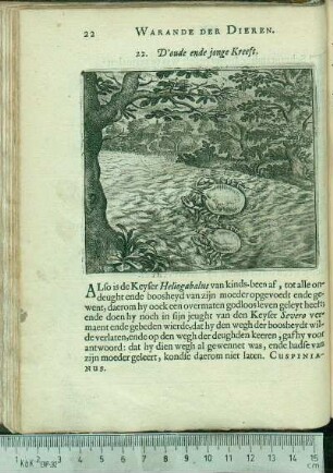 22. D'oude ende jonge Kreeft.