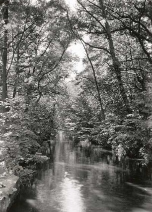 Röderkanal am Gabelwehr bei Zabeltitz