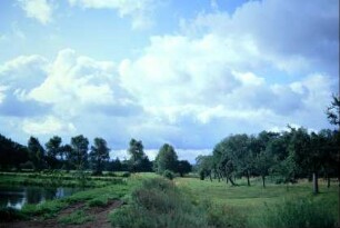 Teich, Feldweg, Obstwiese